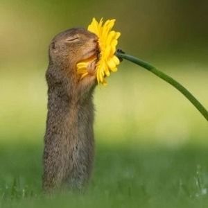 Meet your Posher, Melanie